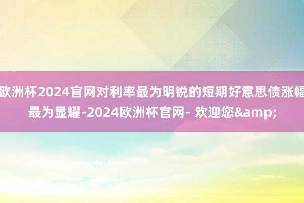 欧洲杯2024官网对利率最为明锐的短期好意思债涨幅最为显耀-2024欧洲杯官网- 欢迎您&