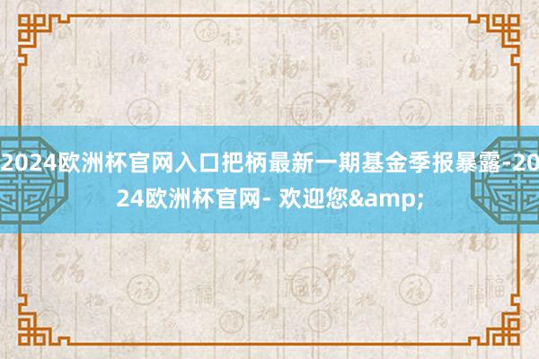 2024欧洲杯官网入口把柄最新一期基金季报暴露-2024欧洲杯官网- 欢迎您&