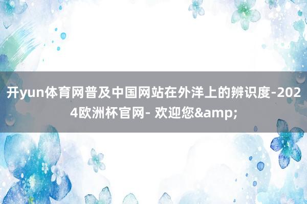 开yun体育网普及中国网站在外洋上的辨识度-2024欧洲杯官网- 欢迎您&
