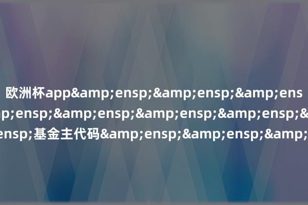 欧洲杯app          基金主代码             基金称号       &ensp