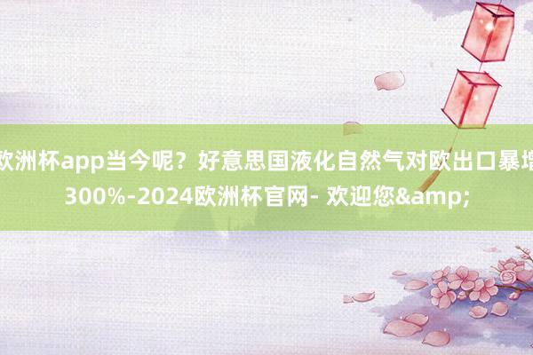 欧洲杯app当今呢？好意思国液化自然气对欧出口暴增300%-2024欧洲杯官网- 欢迎您&