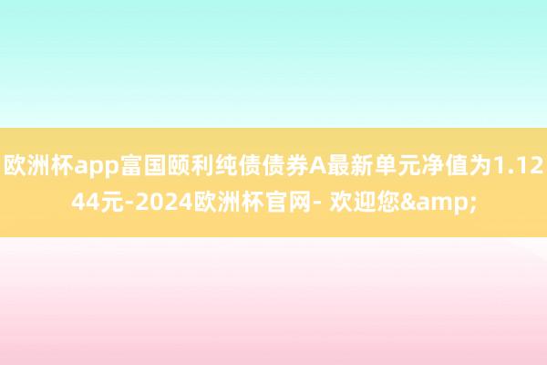 欧洲杯app富国颐利纯债债券A最新单元净值为1.1244元-2024欧洲杯官网- 欢迎您&