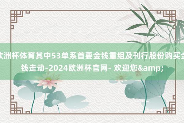 欧洲杯体育其中53单系首要金钱重组及刊行股份购买金钱走动-2024欧洲杯官网- 欢迎您&