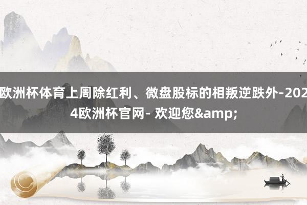 欧洲杯体育上周除红利、微盘股标的相叛逆跌外-2024欧洲杯官网- 欢迎您&