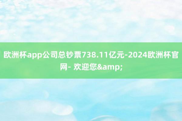 欧洲杯app公司总钞票738.11亿元-2024欧洲杯官网- 欢迎您&